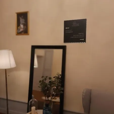 Les Suites De Sautet - Chambery Centre Отель типа 